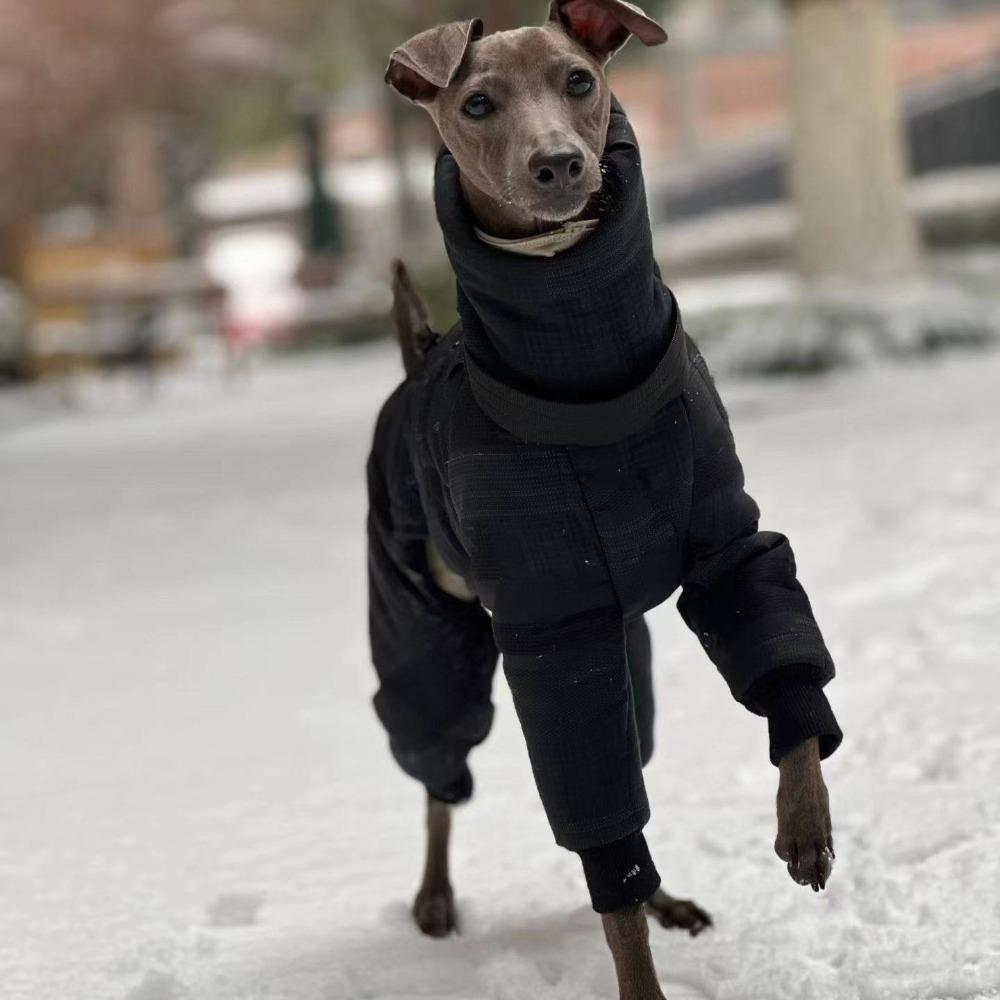 Large Dog Winter Clothes Warm Windproof Thicken Four Legged Puppy Clothes Greyhound Whibbit Dogs Accessories Supplies