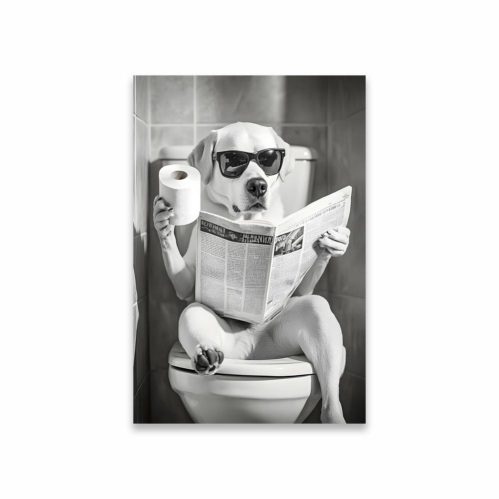 Funny Cat Bathroom Canvas Wall Art Posters Black And White Funny Animal Picture Wall Art Prints Canvas Painting Toilet Decor