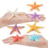 Lifelike Five-point Starfish Figurine Pvc Static Model Perfect For Beach Theme Decor