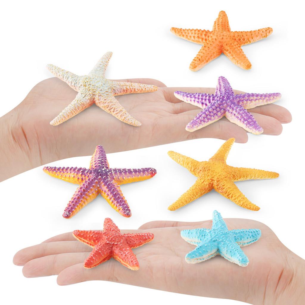 Lifelike Five-point Starfish Figurine Pvc Static Model Perfect For Beach Theme Decor