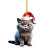Lovely Acrylic Cat Car Hanging Decoration With Cheerful Christmas Hat And Theme Tree