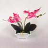Green Phalaenopsis Faux Plant Bonsai Ornaments For Home Office Special Occasion