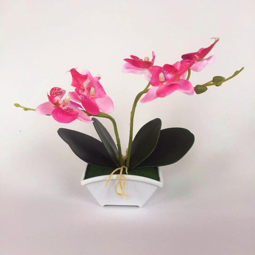 Green Phalaenopsis Faux Plant Bonsai Ornaments For Home Office Special Occasion
