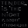 Tender Is the Night by F. Scott Fitzgerald Paperback Book 9781409149552