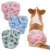 Pets Pants Female Dog Physiological Pants Elastic Waist Dog Underwear Cute Sanitary Panties Dog Clothes Ropa De Perros Mascotas