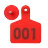 Cattle Ear Tag with Laser-Engraved Text for Farm Identification