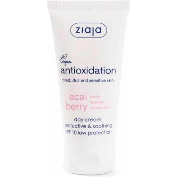 Crème - ZIAJA - Acai - SPF10 - 50 ml - Unisex