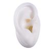 Acrylic Earring Display Stand with Soft Silicone Ear Model Jewelry Display and Storage