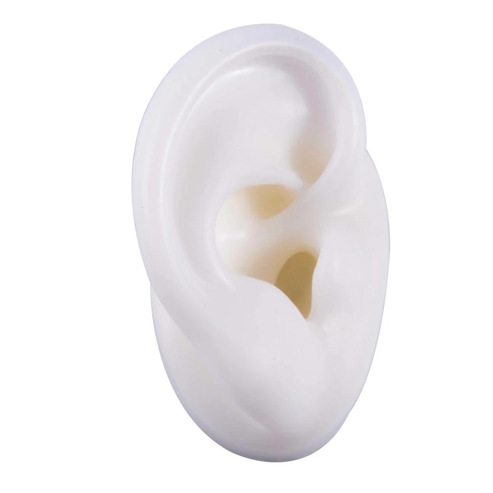 Acrylic Earring Display Stand with Soft Silicone Ear Model Jewelry Display and Storage
