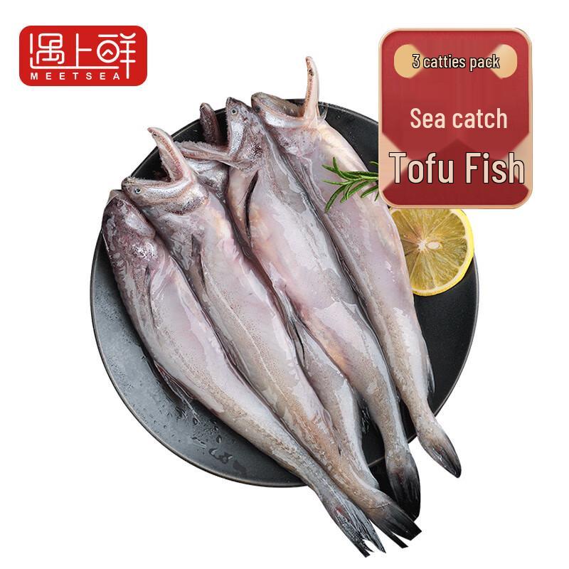 Freshly Caught Frozen Zhoushan Bombay Duck