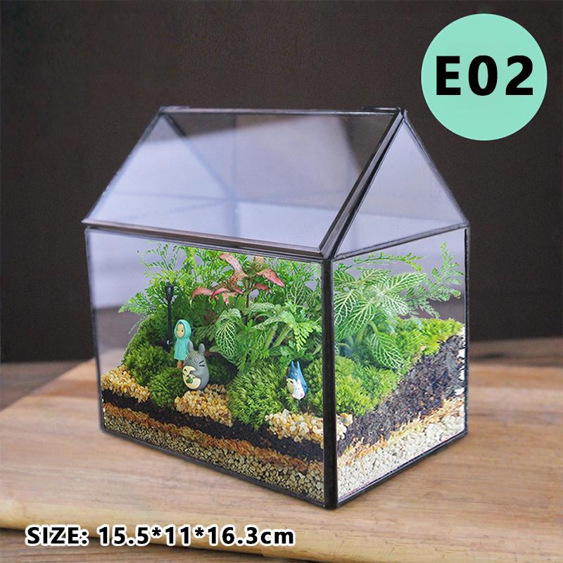 Micro Landscape Plant Terrariums Glass Greenhouse Rainforest Fern Moss Terrarium Ecological Geometric Vase Table Greenhouse New