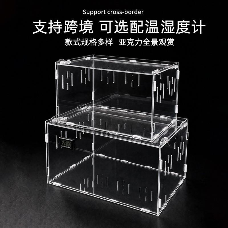 Acrylic Reptile Terrarium Small Pet Habitat Tarantula Gecko Scorpion Beetle Desktop Display Box With Thermometer Option