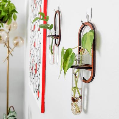 Plant Wall Hanging Shelf Wooden Stand Container Display Shelf Wall Decor Ledge Garden Aesthetic Decor Bedroom Home Decoration