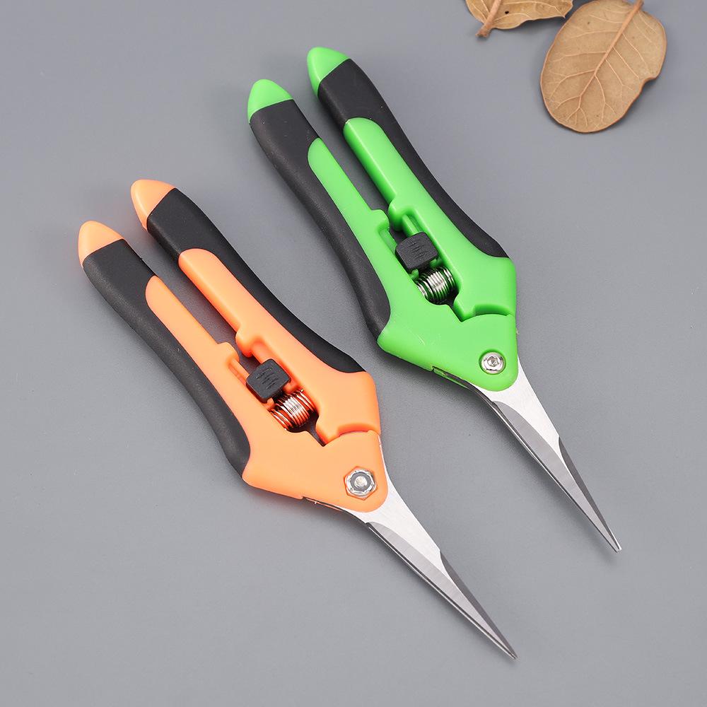 Stainless Steel Grape & Fruit Picking Pruning Shears: Garden Thinning & Vegetable Scissors