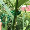 Plant Support Clips Clips Plastic Vine Reusable Tomato Stem Outdoor Training for Vegetables Climbing Plants Garden Trellis Netting Seedlings
