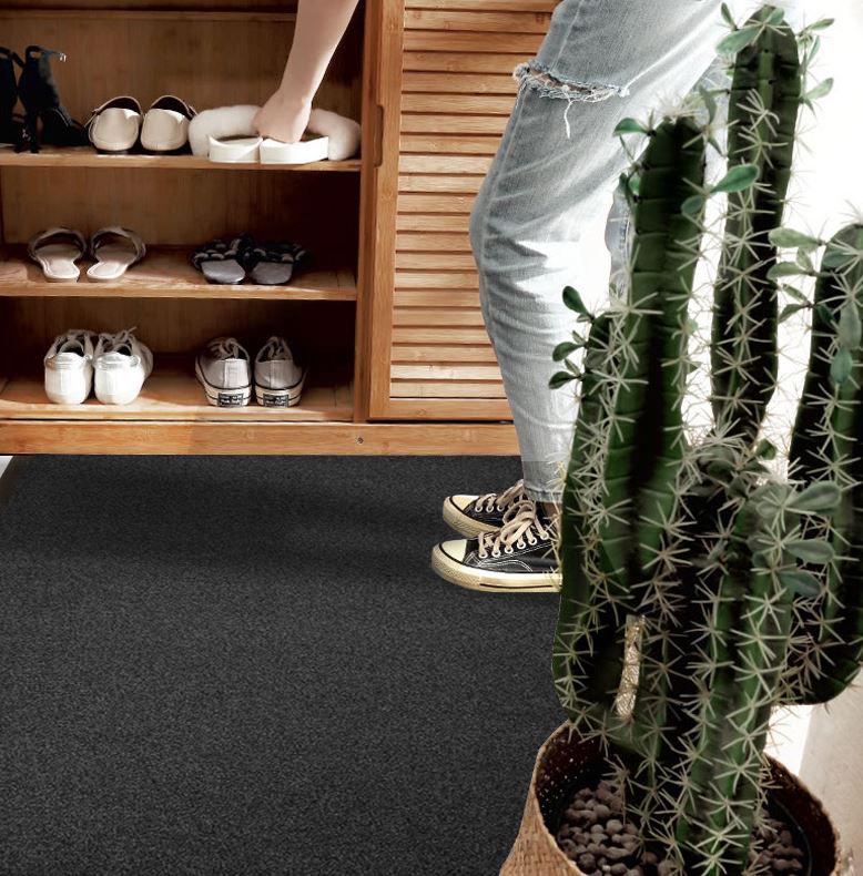 Doormat Mat Rug 80x120cm for Entrance Door, External, Internal