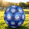 Crystal Palace FootballPrinted Size 5 Soccer Botball, Anti Slip Adult Match Football Souvenir for Football Fans