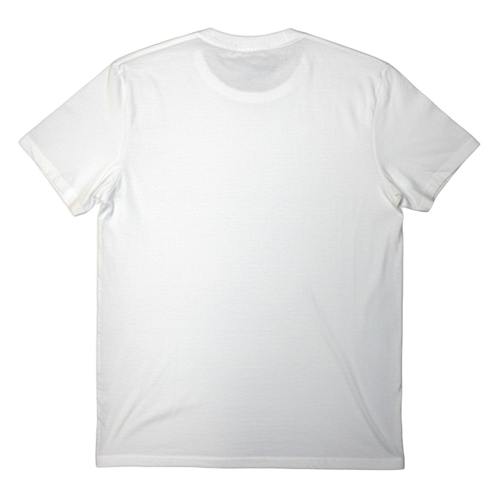 Brian Wilson Unisex Adult 1966 Sunrise T-Shirt