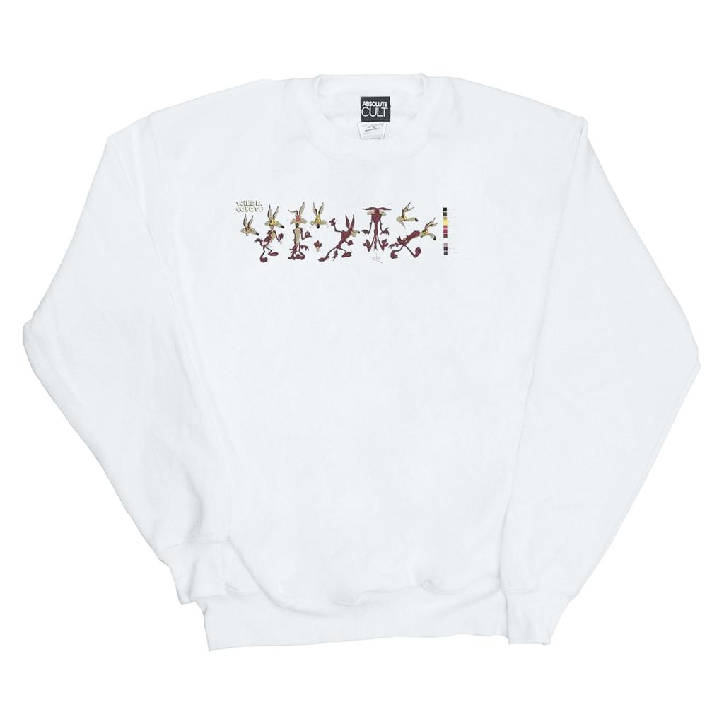 Looney Tunes Mens Wile E Coyote Colour Code Sweatshirt