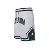 Jordan Sport Diamond Dri Fit Shorts FV8613-100