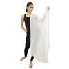 Long Stole Chiffon Blend Dupatta Neck Wrap Women Indian Scarves Chunni