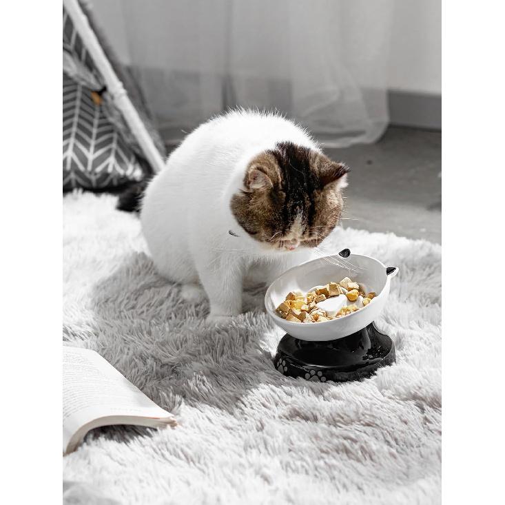 Y YHY Ceramic Cat Slow Feeder, Elevated Dog Food Bowl Tilted Design, Slow Feeder Bowl No Black Chin, Cat Shape for Dry and Wet Food