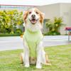Cooling Pet Vest For Dog Cats Breathable Polyester Loose Fit Pet Clothing for Pet Outdoor Activity All Breeds Wear