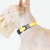 MUNIKUND Water-Block Collar Yellow