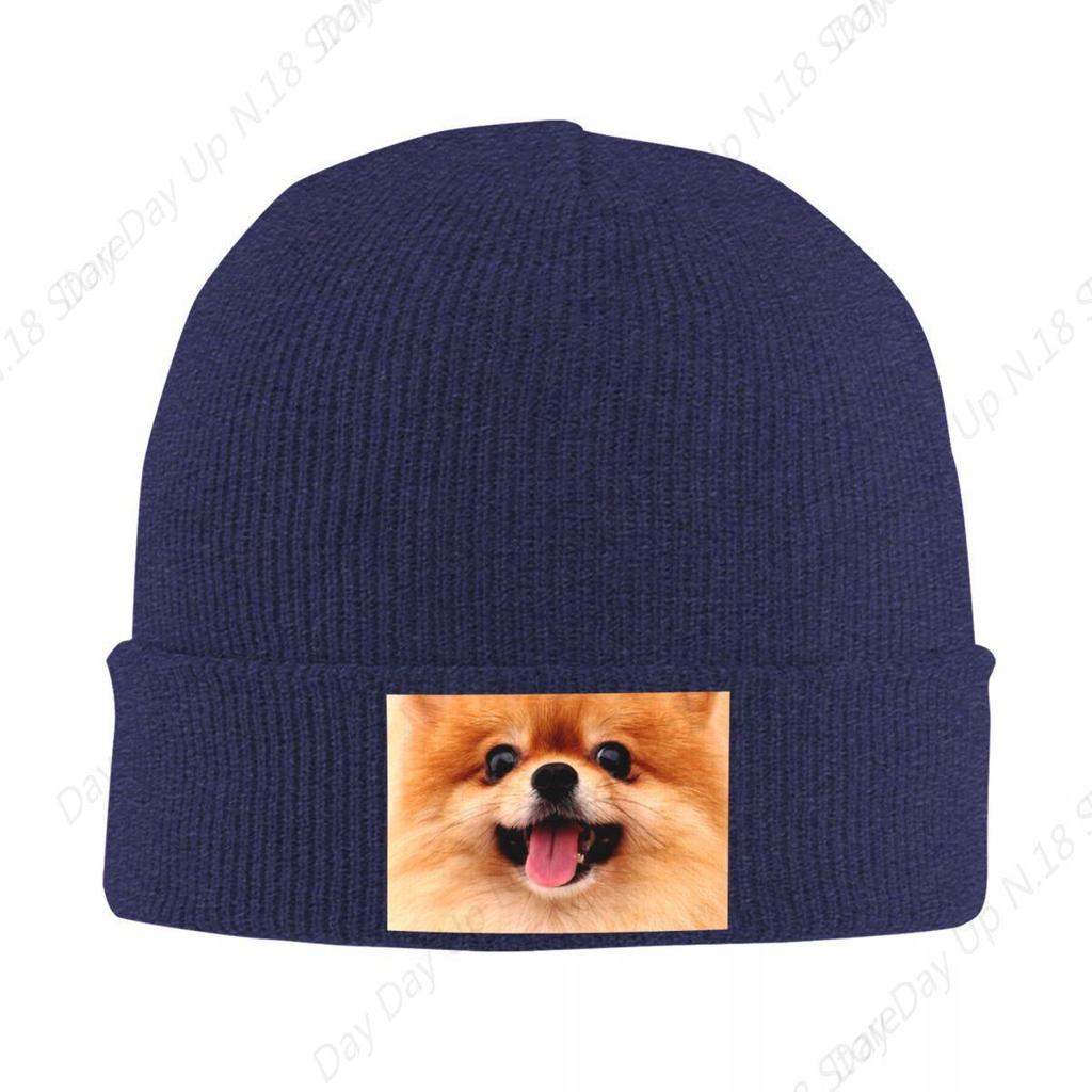 Pomeranian Puppy Bonnet Hat Cool Knitting Hat Men Women Unisex Adult Spitz Pom Dog Winter Warm Skullies Beanies Caps