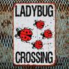 Vintage Ladybug Metal Tin Sign 8x12 Inch Distressed Red Black Wall Art Rustic Iron Decor Pre-Drilled Holes