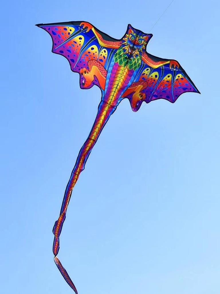 Winged Dragon Kite: High-End Cartoon Kite for Kids