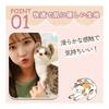 Hyack Cat Plush Toy Realistic Realistic Cat Stuffed Toy Kitten Figurine Cute (Style 2) [Parallel Import]