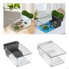 Aquarium for Small Reptiles with Terrapin Breeding Box