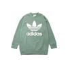 Sweatshirts Men's Crew Neck Moderate Regular (Unisex) Sweatshirts DH5770