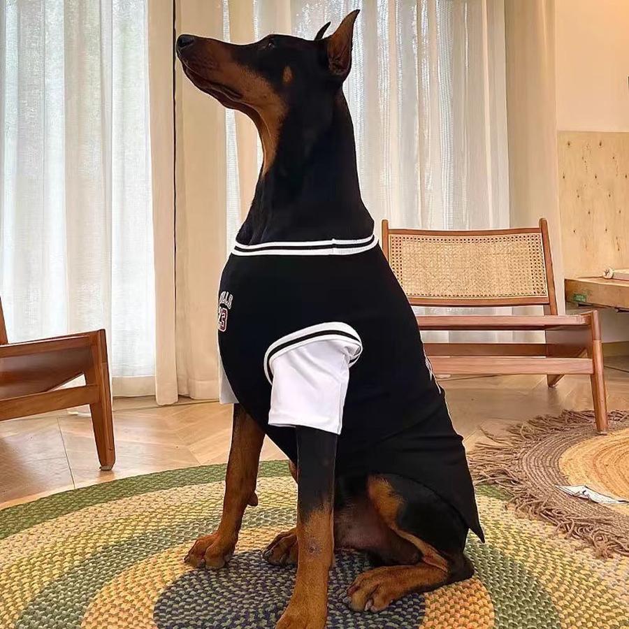 Large Dog Summer Thin Coat Two Piece Jumpsuit for Golden Retriever Labrador & Doberman