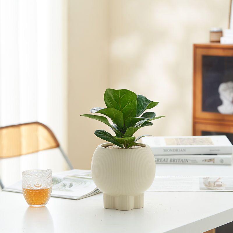 Retro High-Leg Ceramic Flower Pot for Phalaenopsis, Green Radish, and Spider Plant in Cream Style