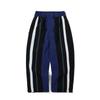 Kyumail 482 Vertical Stripe Relaxed Pants Purple