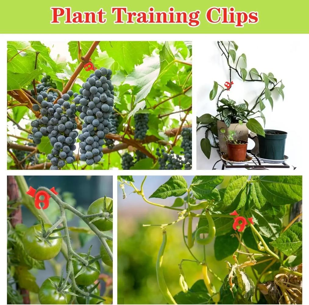 10-50 stücke 90 Grad Anlage Bieger Trainer Wachstum Manipulation Tutoren Für Pflanzen Clips Biegen Zweig Klemmen Branche Zubehör