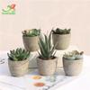 Indoor Retro Succulent Bonsai Fake Flower Ornament for Home and Living Room Décor
