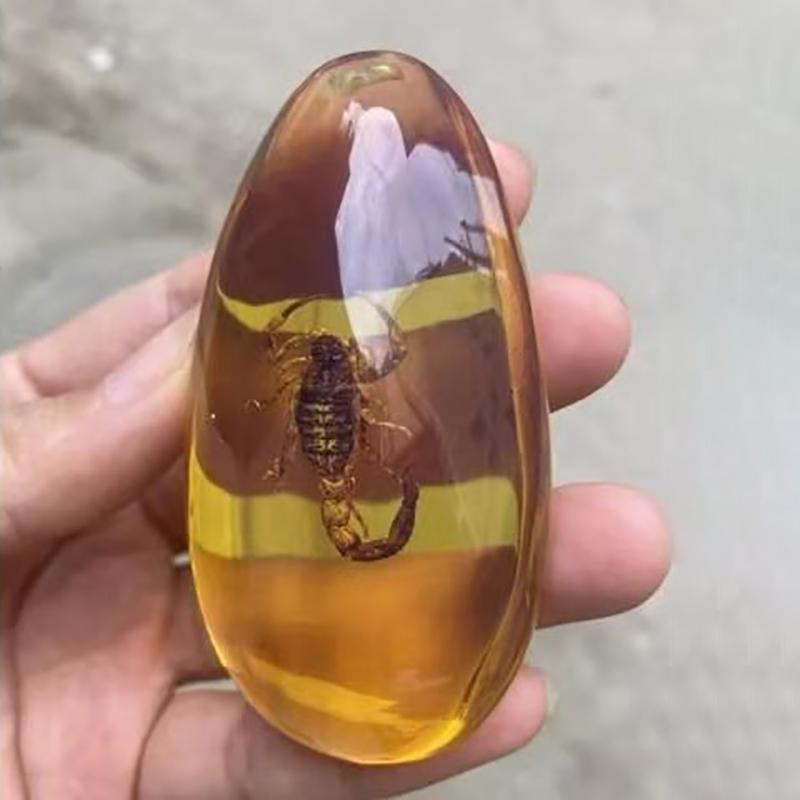 1Pc Insects Amber Gemstone Scorpion Natural Mineral Home Decor Insects Amber Gemstone Diy Hand Crafts Gift
