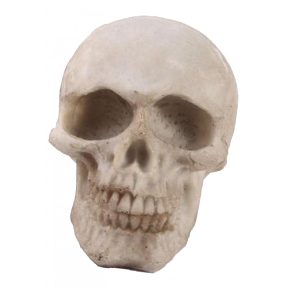 2pcs Resin Tabletop Skeleton Model Dispaly Props