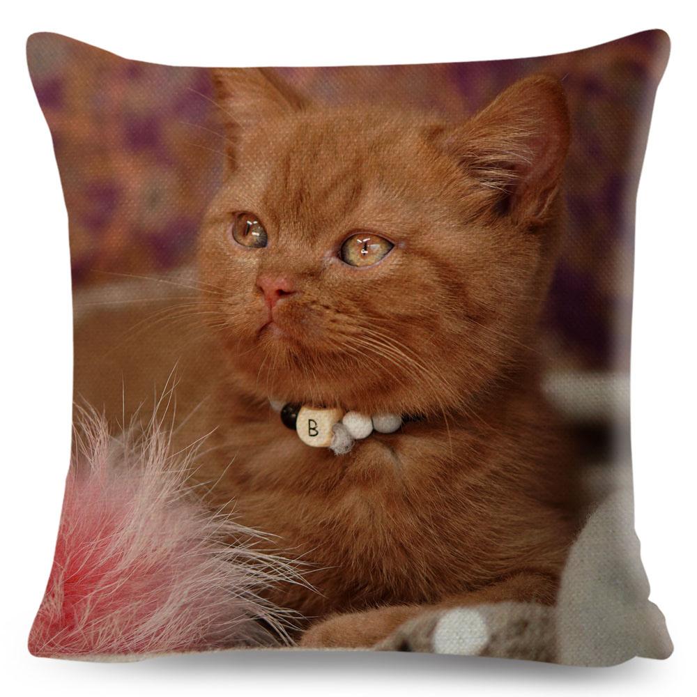 Housse de coussin British Shorthair bleu russe, taie d'oreiller en Polyester, décoration de chat mignon, Animal de compagnie, pour canapé, maison, voiture