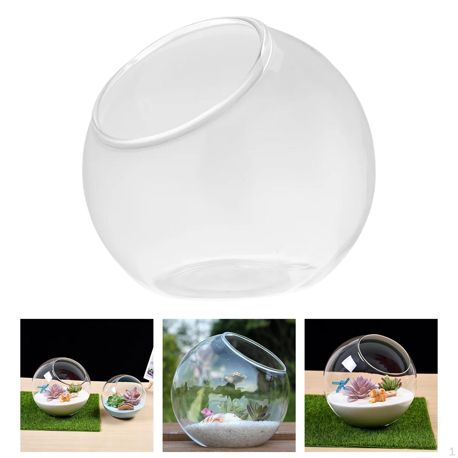 

Террариум для растений Microlandschaft House Прозрачный контейнер Стеклянная ваза с наклоном для свадьбы Гостиная Diameter 13.5cm