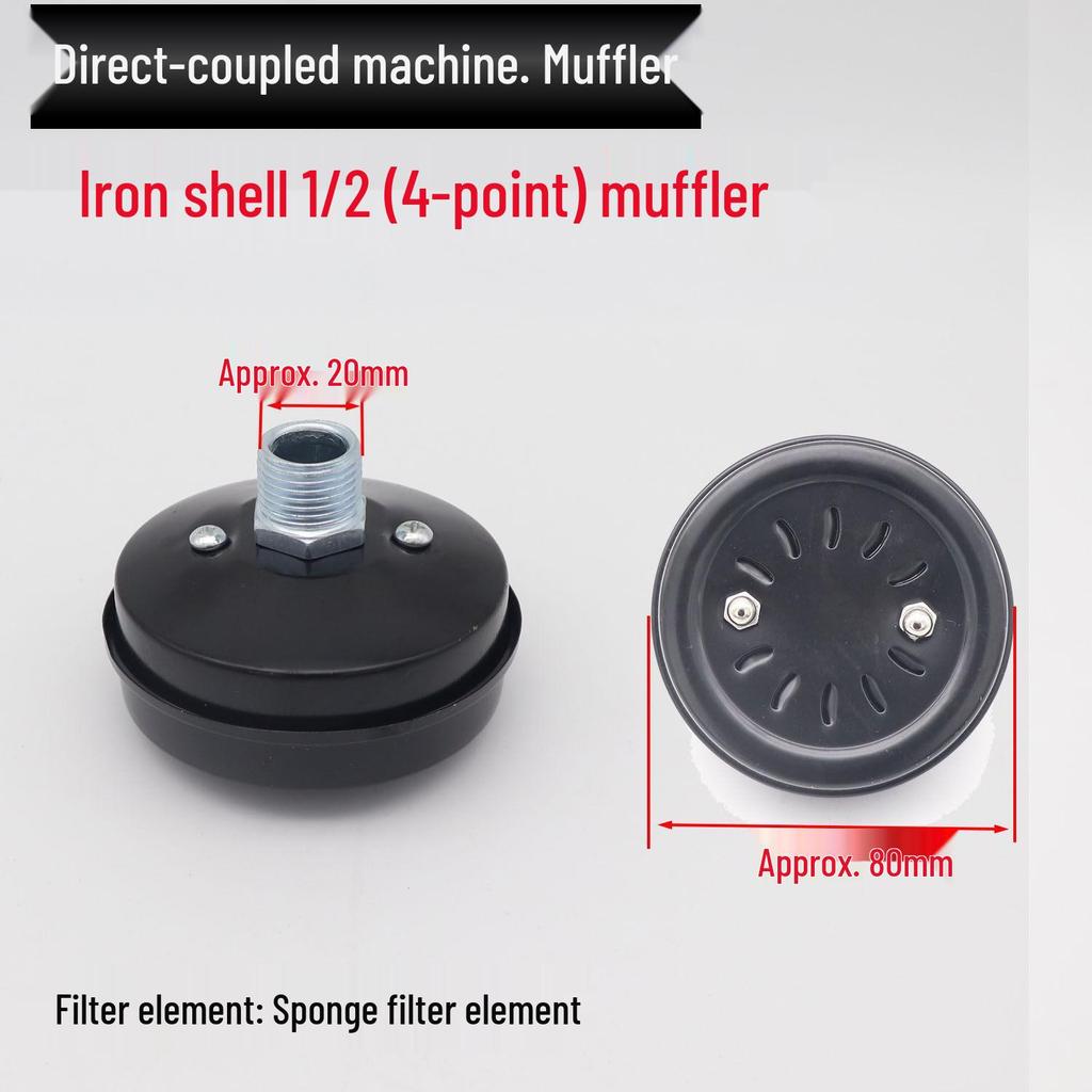 Oil-Free Air Compressor Kit: Direct-Coupled Pump, Silencer Muffler, Air Filter & Element.