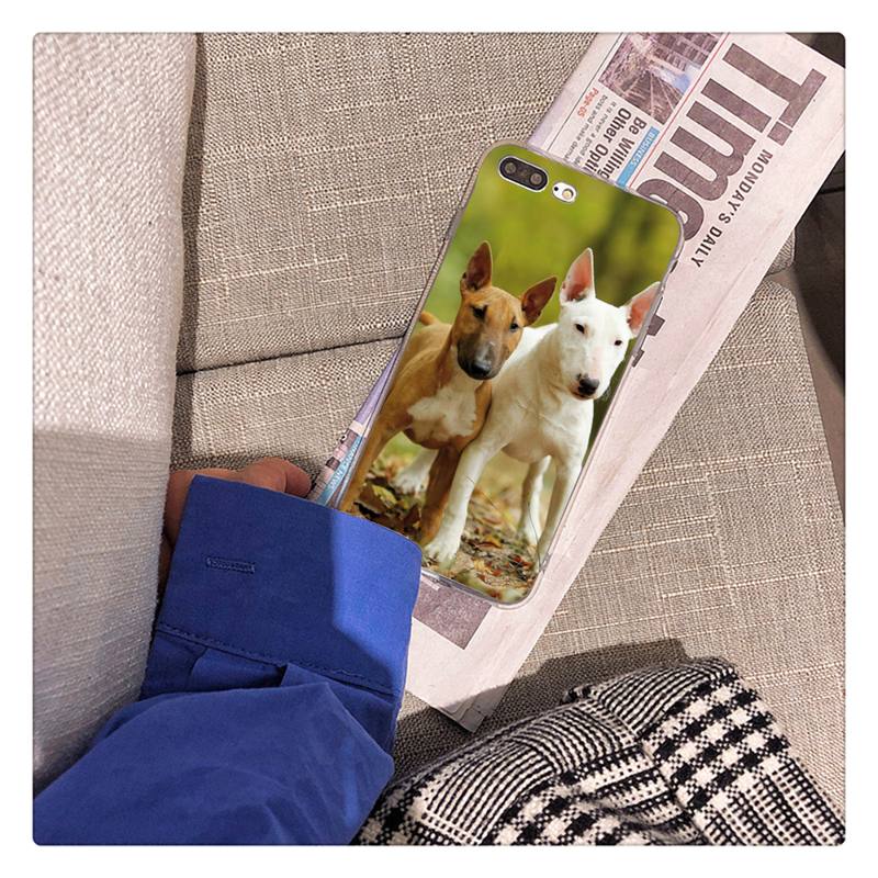 Bullterrier Bull Terrier Dog Phone Case For iPhone 13 X XS MAX 6 6s 7 7plus 8 8Plus 5 5S Se 2020 XR 12 11 Pro Max Fundas Capa