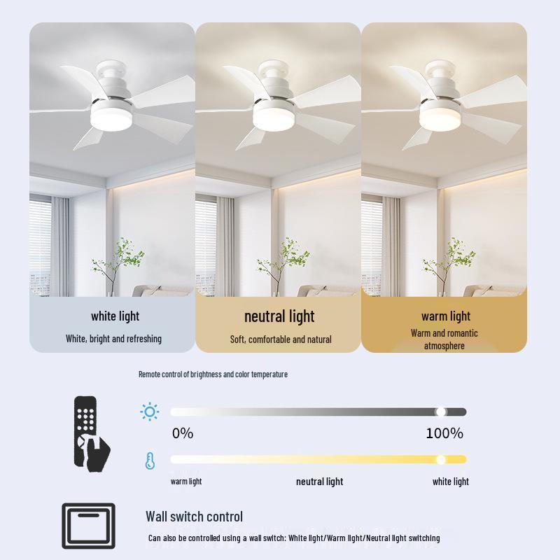 2025 E27 Screw Base Fan Light with Detachable Blades, Replaceable Light Source, Three-Color Stepless Dimming, and Timer