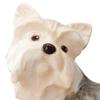 Noritake Dog Series Yorkshire Approximately Tall and 1 Bone Figurine, Terrier, 9.5cm 9.5cm Wide, Piece, China, K223/AC243