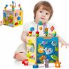 Wooden Educational Cube Sorter Animals Cars