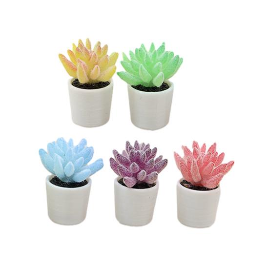 

5 шт. Миниатюрные комнатные растения Масштаб 1/12 Аксессуары для кукольного особняка Реалистичная мини-модель растения для коллекционеров Дети Игровое воображение D