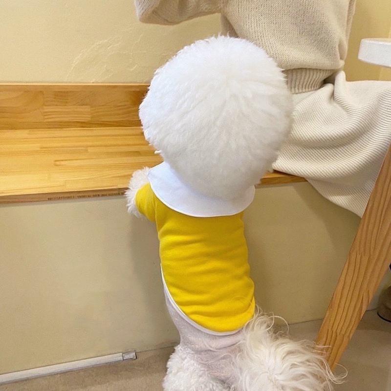 Verdickter Haustier-Baumwollmantel Im Winter Teddy Bichon Bär Granatapfel Katze Kleiner Hund Hundekleidung Baumwolljacke Im Winter Y329YY-XL back length 40cm white
